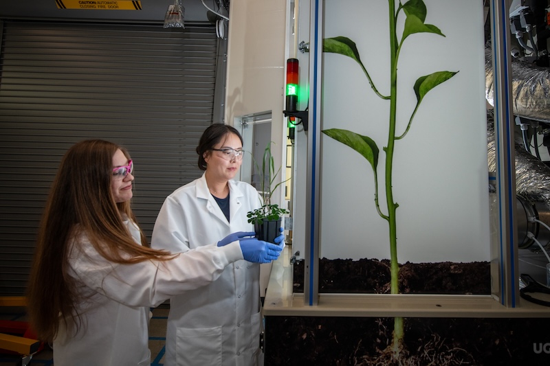 Two scientists working in the EcoPOD, version 2.