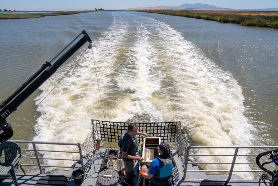 Wake from boat in SF Bay Estuary