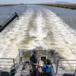 View from the deck of the research vessel Sentinel looking out over one of the San Francisco Estuary’s wide open channels near the Sacramento-San Joaquin river Delta. Two field ecologists set up equipment in the foreground on the boat's deck.