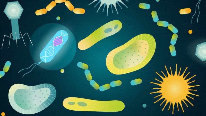 Environmental Genomics And Systems Biology Biosciences Area Environmental Genomics And Systems Biology Biosciences Area
