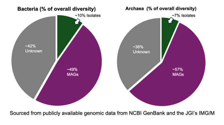 Two pie charts representing bacterial and archaeal diversity of publicly available genome data in the NCBI and IMG/M databases. Each pie is divided into 3 parts to represent what is known of bacterial and archaeal diversity from isolate genomes (green) and MAGs (purple), while the gray slices represent what remains unknown. 