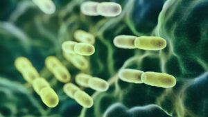 Abstract 3D rendered microbiology image representing a SEM (TEM) scanning view of Lactobacillus Bulgaricus bacteria.