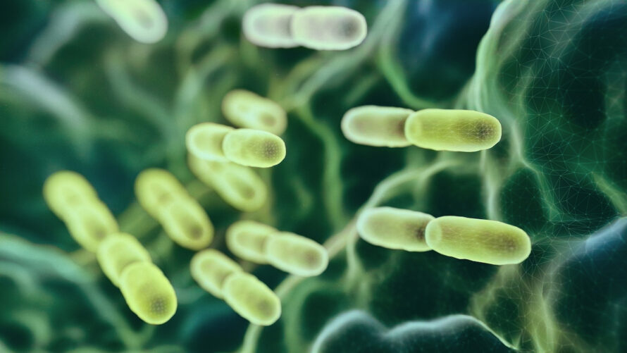Abstract 3D rendered microbiology image representing a SEM (TEM) scanning view of Lactobacillus Bulgaricus bacteria.