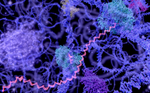 An illustration in hues of purple, fuchsia, and cyan of DNA being transcribed into RNA to build a protein. Enhancers help activate this process.