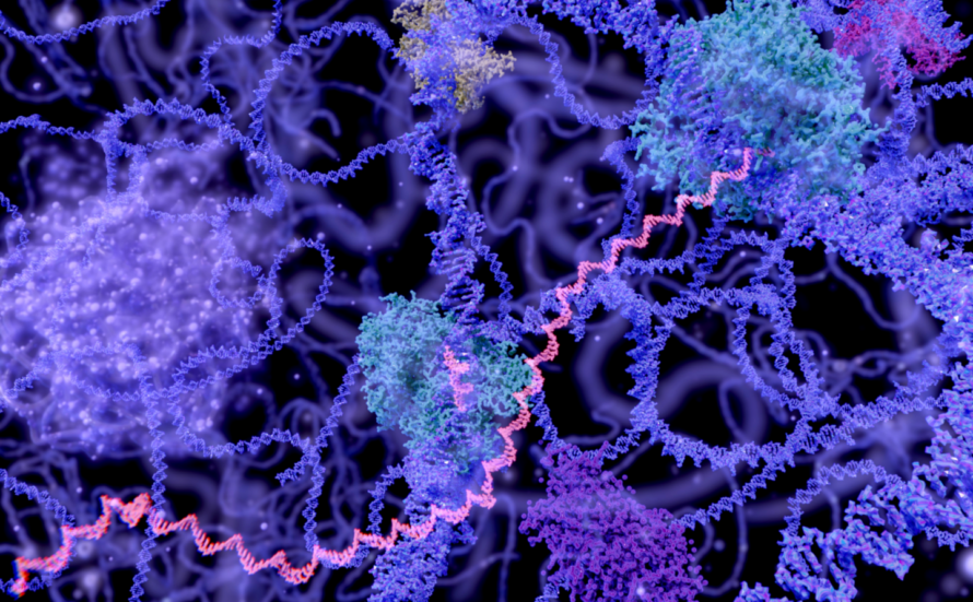 An illustration in hues of purple, fuchsia, and cyan of DNA being transcribed into RNA to build a protein. Enhancers help activate this process.