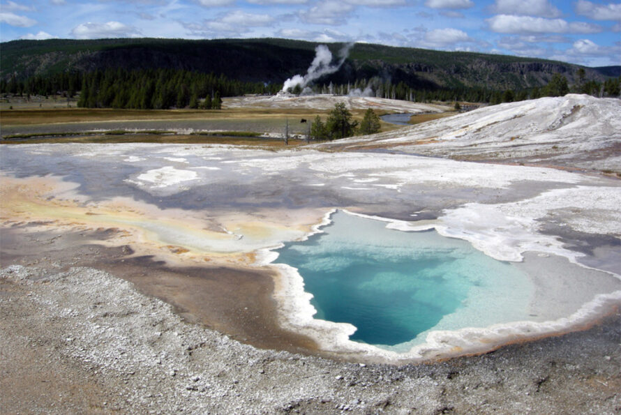 A picture of a geyser at Yellowstone National Park