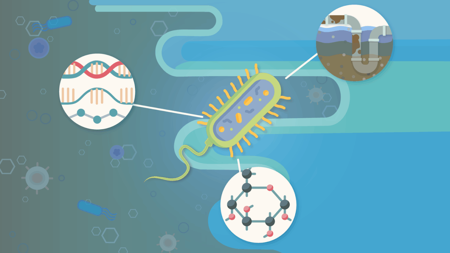 An abstract illustration of a bacterium connecting to insets of soil layers, a DNA strand, and a molecular structure.
