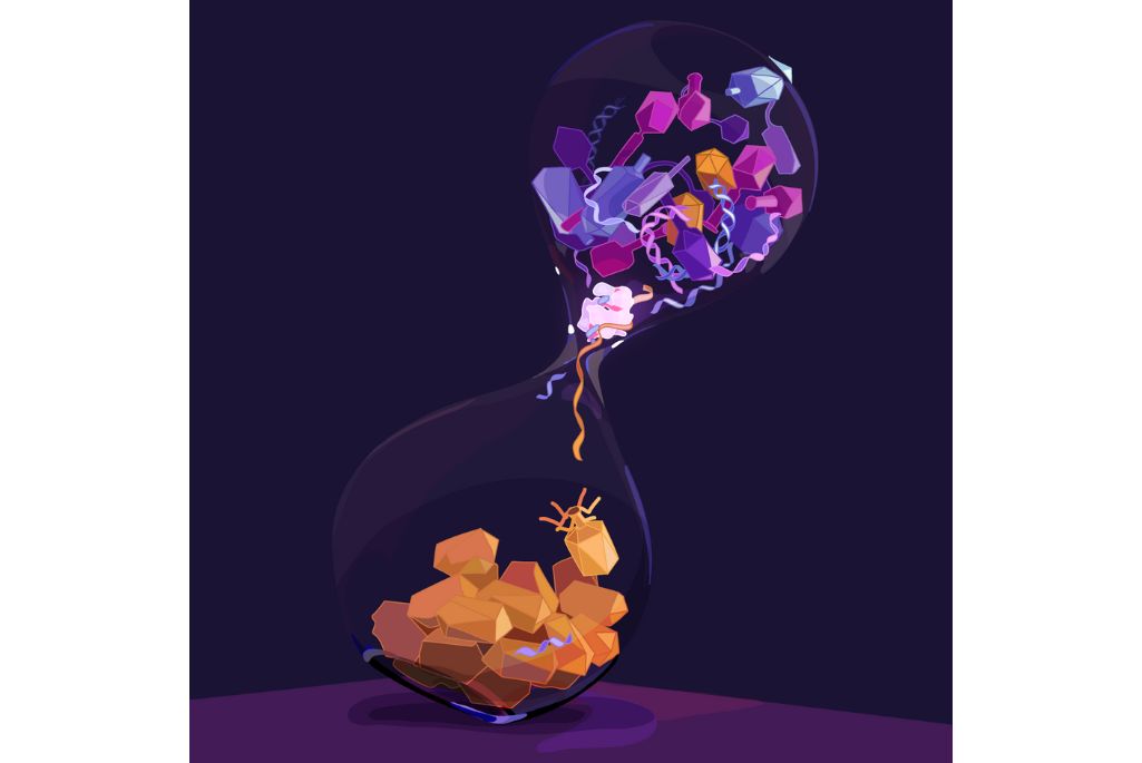 CRISPR-Cas13 creates an evolutionary bottleneck by targeting the RNA of diverse phages, allowing for edited phages (orange) to be specifically enriched. (Credit: Davian Ho)