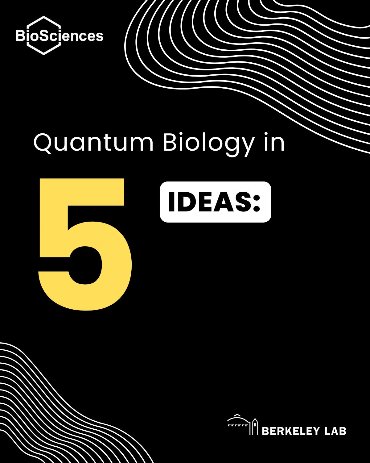 Quantum biology 1