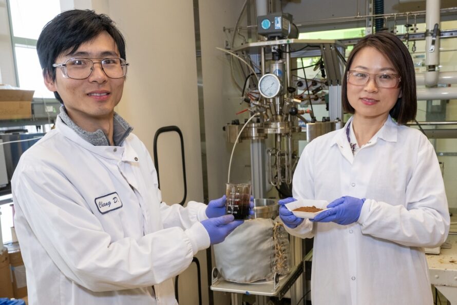 Two researchers in a laboratory setting wearing white lab coats and standing in front of various equipment hold samples of brown-colored lignin.