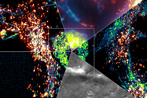 A colorful scientific composite image showing clusters of bright points and filamentous structures in five quadrants, with a central bright spot.
