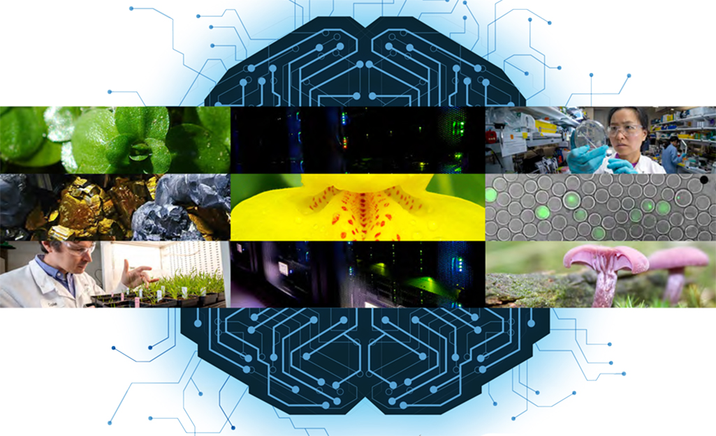 Partial cover of the Joint Genome Institute’s 2026 Strategic Plan featuring a circuit-board brain and a collage of biological research images.